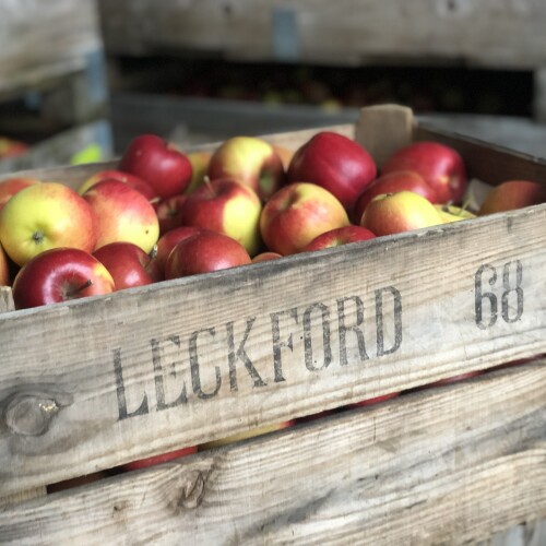 Leckford apples