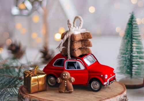 Longstock Park's Christmas Shopping Event