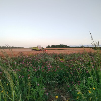 Biodiversity sustainability, Leckford Estate