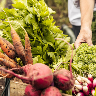 Seasonal Produce, Flowering Gardens and Inspiring Events